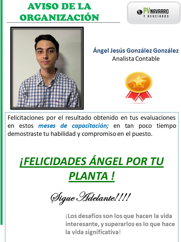 Planta Angel.jpg