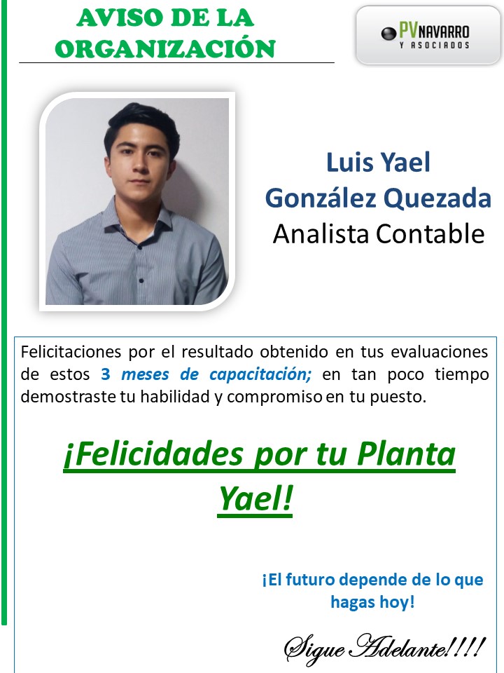 Planta Yael.jpg
